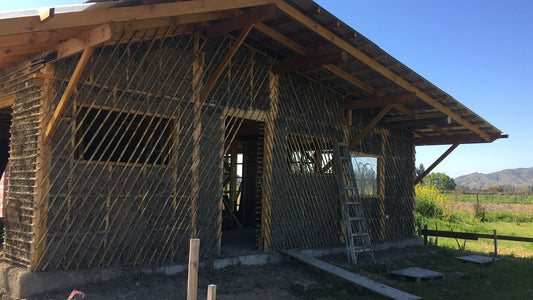 Quincha de bambu colihue