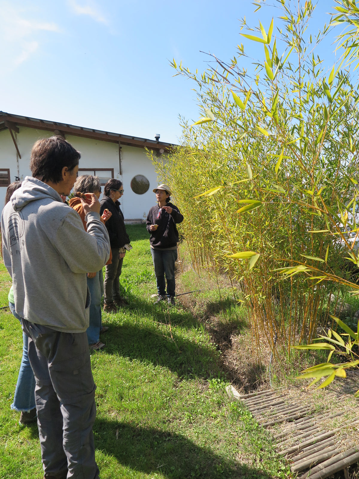 Taller grupal 4 participantes